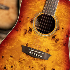 Đàn Guitar Acoustic Washburn Deep Forest Burl D, Amber Fade