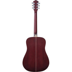 Đàn Guitar Acoustic Washburn Deep Forest Burl D, Amber Fade