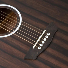 Đàn Guitar Acoustic Washburn Deep Forest Ebony ACE