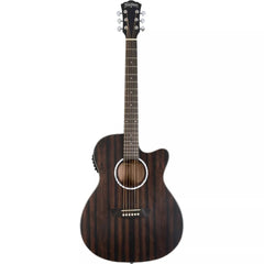 Đàn Guitar Acoustic Washburn Deep Forest Ebony ACE