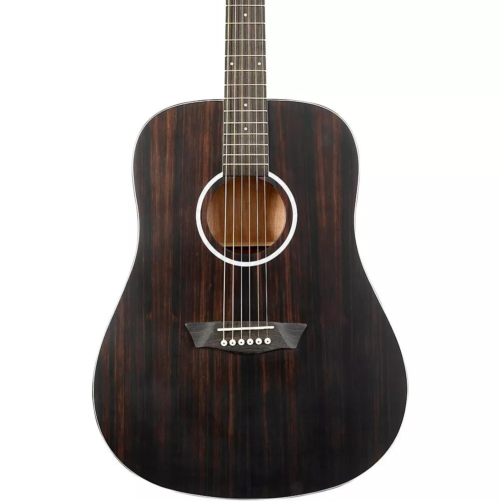 Đàn Guitar Acoustic Washburn Deep Forest Ebony D