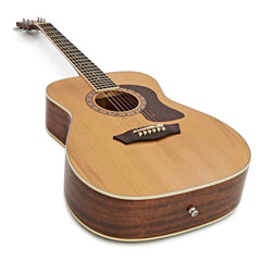 Đàn Guitar Acoustic Washburn Heritage F11S