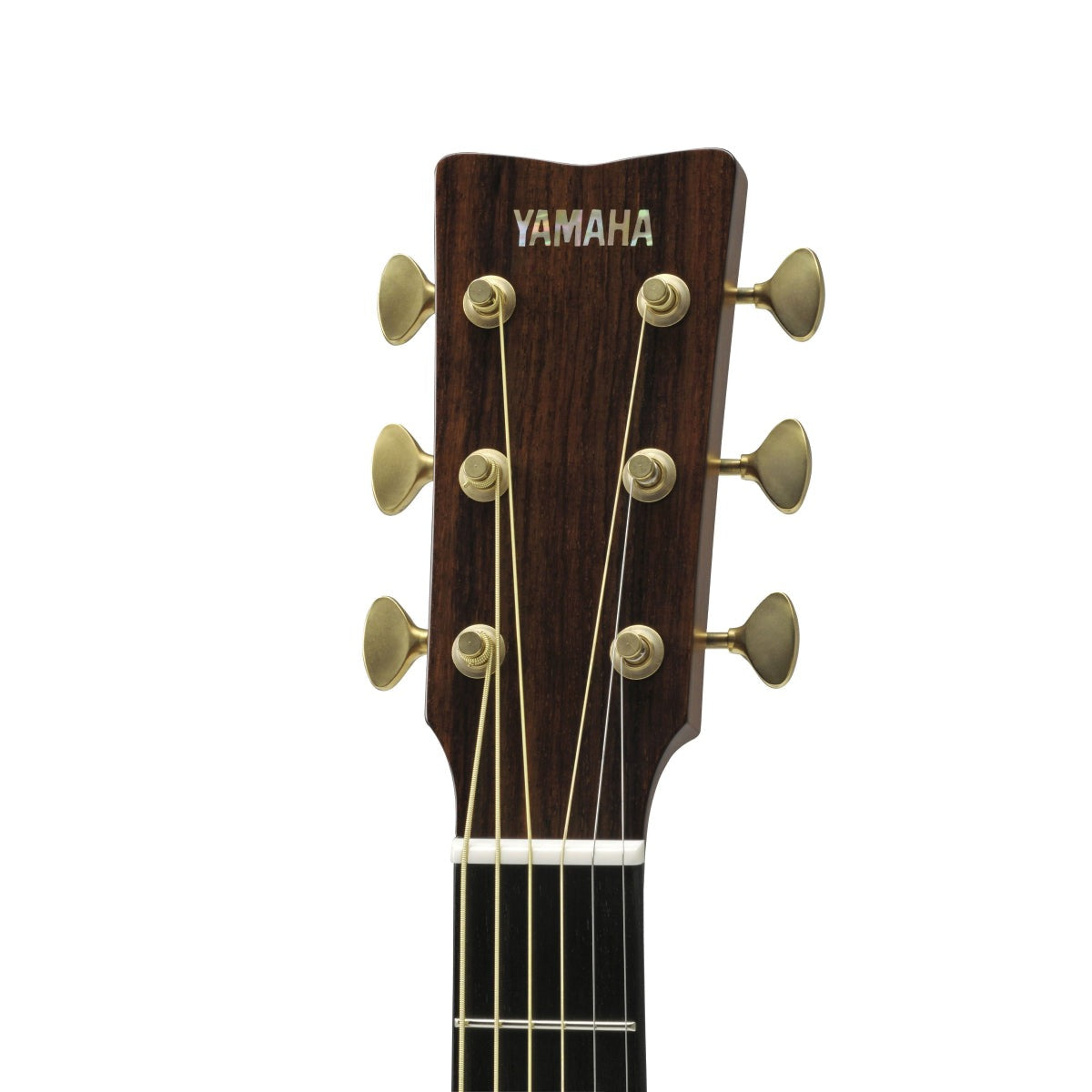 Đàn Guitar Acoustic Yamaha LS26 ARE