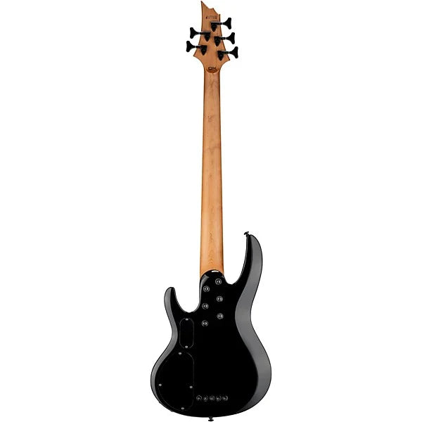 Đàn Guitar Bass 5 Dây ESP LTD B205DX, Black Burst