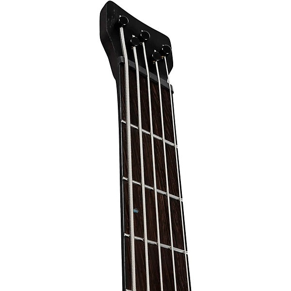 Đàn Guitar Bass 5 Dây Ibanez EHB1675MS, Natural Flat
