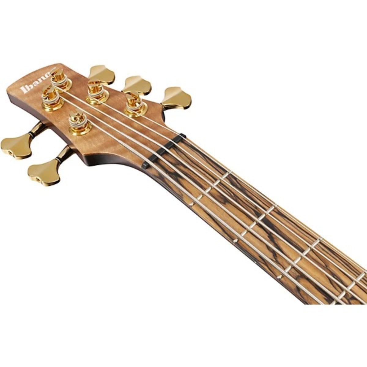 Đàn Guitar Bass 5 Dây Ibanez IV1SR