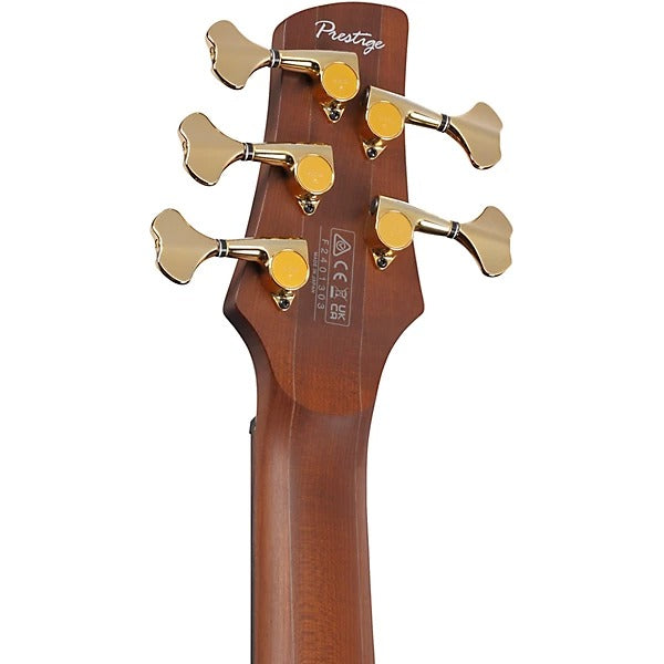 Đàn Guitar Bass 5 Dây Ibanez SR6605, Ghost Fleet Blue Burst