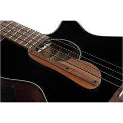 Đàn Guitar Bass Acoustic Ibanez AEGB24E, Black High Gloss