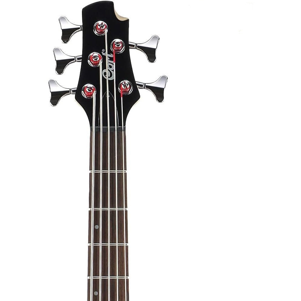 Đàn Guitar Bass Cort Action Bass V Plus, Black