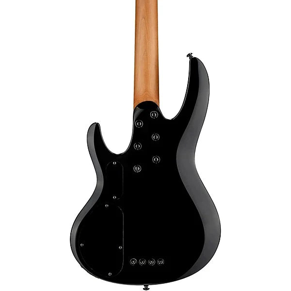 Đàn Guitar Bass ESP LTD B204DX, Black Burst