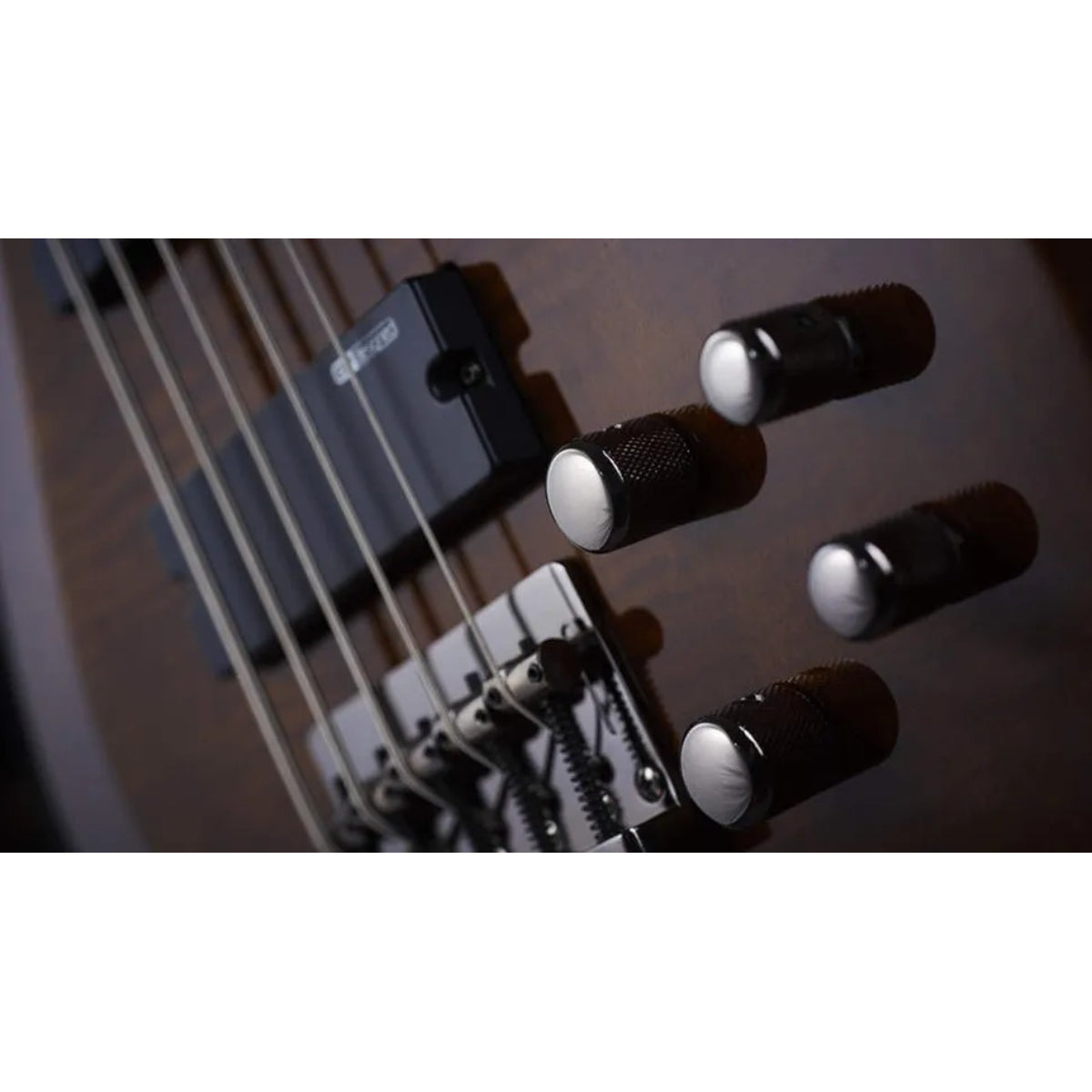 Đàn Guitar Bass ESP LTD F 155DX