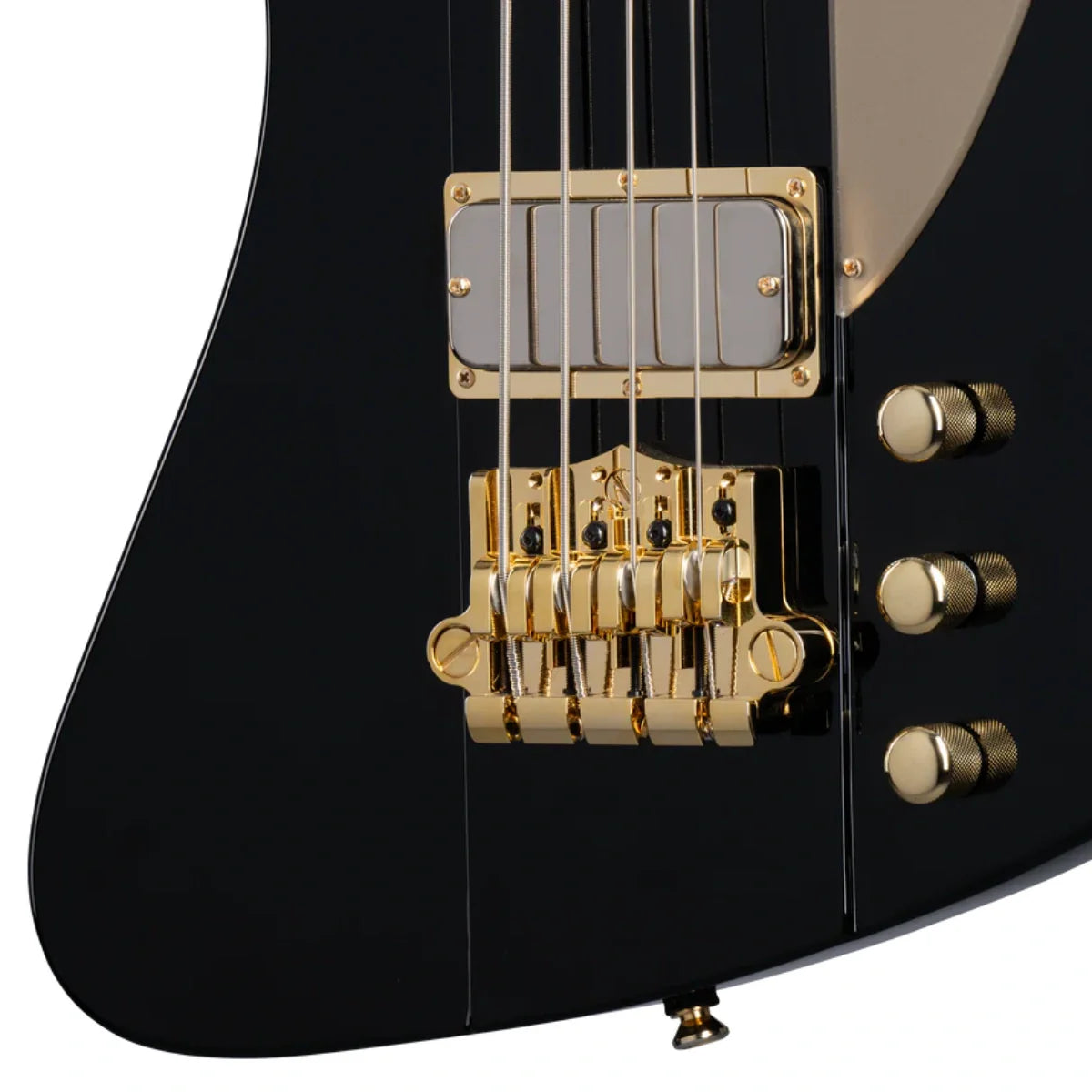 Đàn Guitar Bass Epiphone Rex Brown Thunderbird, Ebony