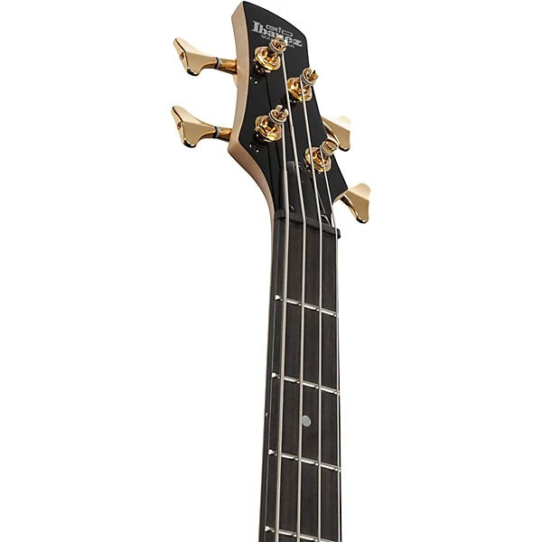 Đàn Guitar Bass Ibanez GSR200PC, Transparent Pale Black Burst