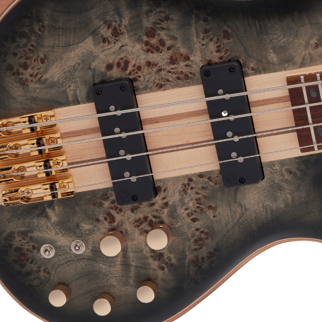 Đàn Guitar Bass Jackson Pro Series Spectra Bass SBP IV, Transpanrent Black Burst tannhaccu