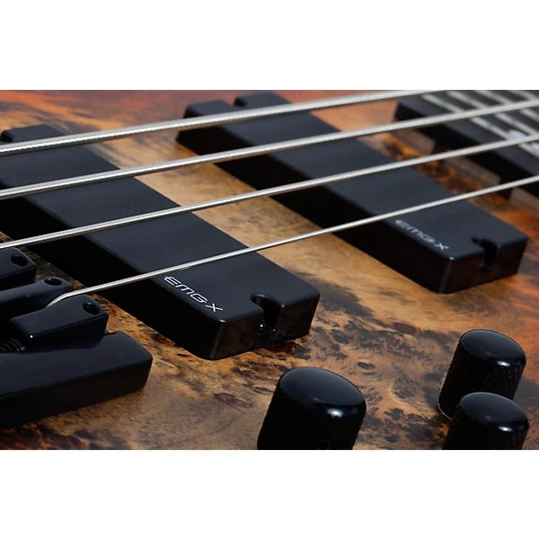 Đàn Guitar Bass Schecter Riot 5, Inferno Burst