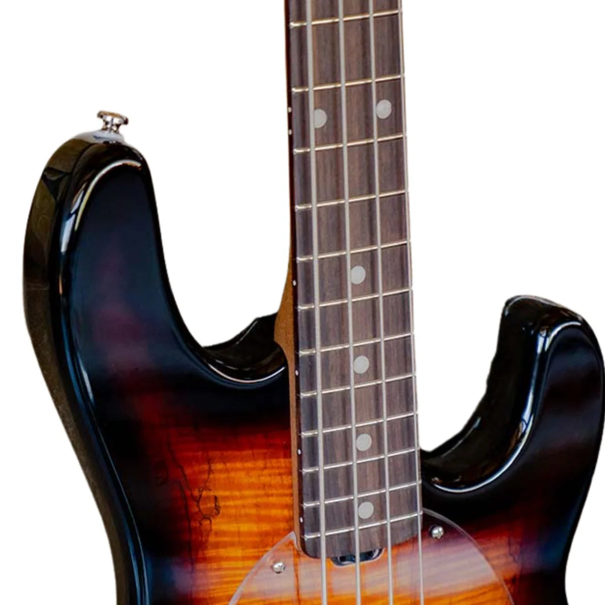 Đàn Guitar Bass Sterling by Music Man StingRay Maple Top, 3 Tone Sunburst