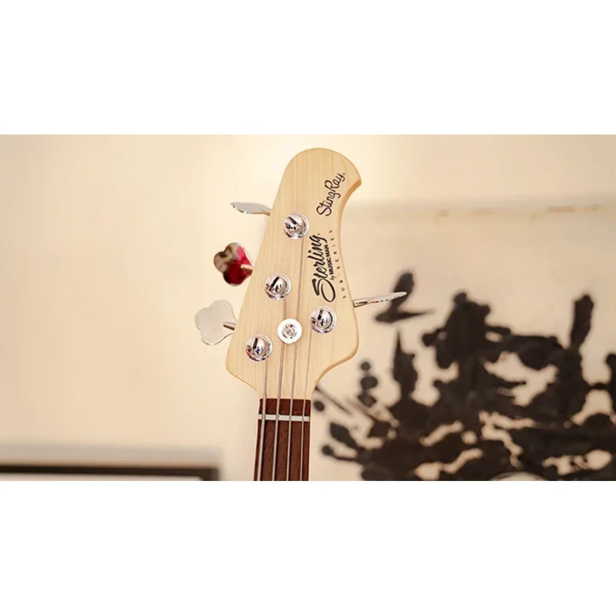 Đàn Guitar Bass Sterling by Music Man StingRay Ray4 Bass, Walnut Satin