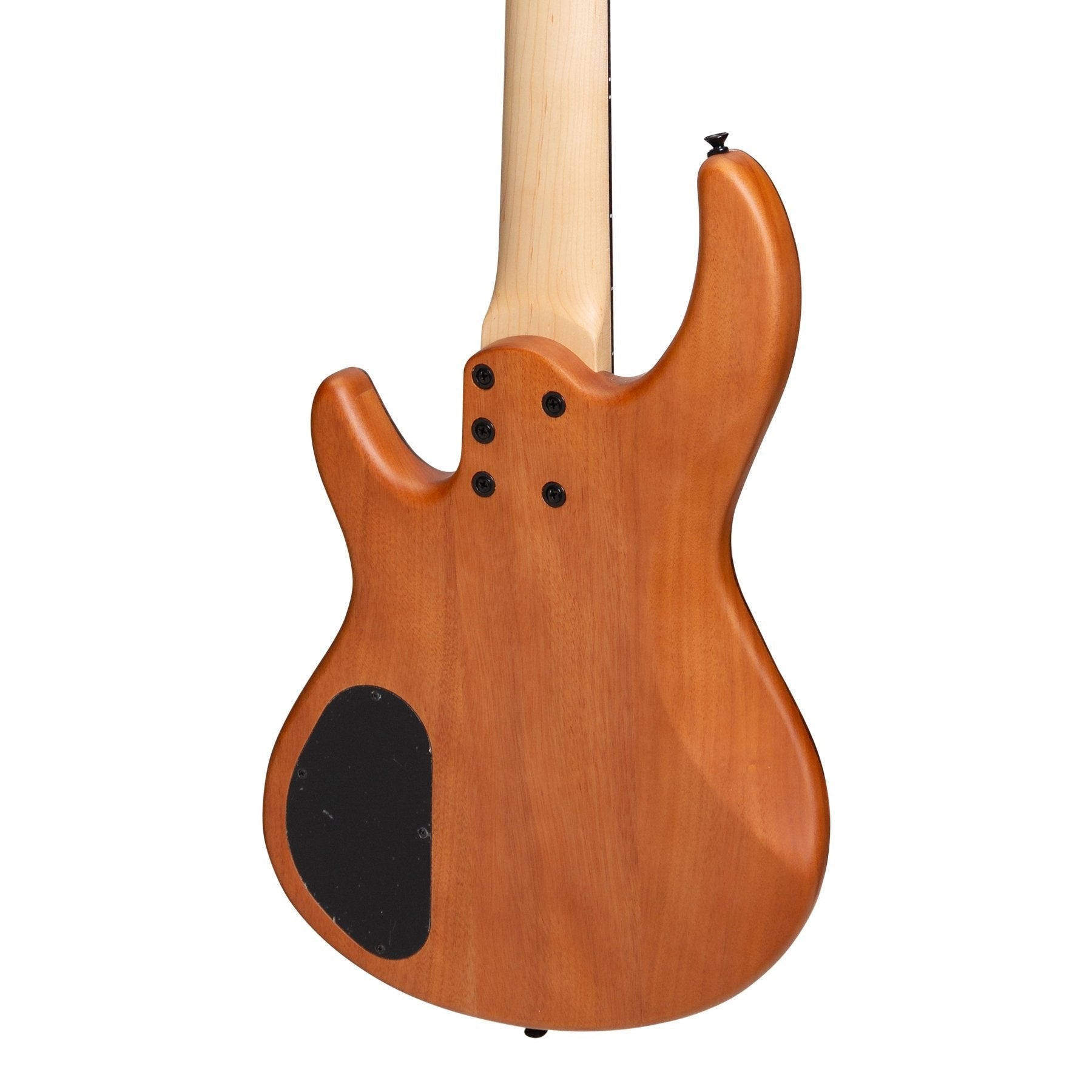 Đàn Guitar Bass Tokai Legacy Series 5 String Mahogany & Zebrano T Style Contemporary, Natural Satin