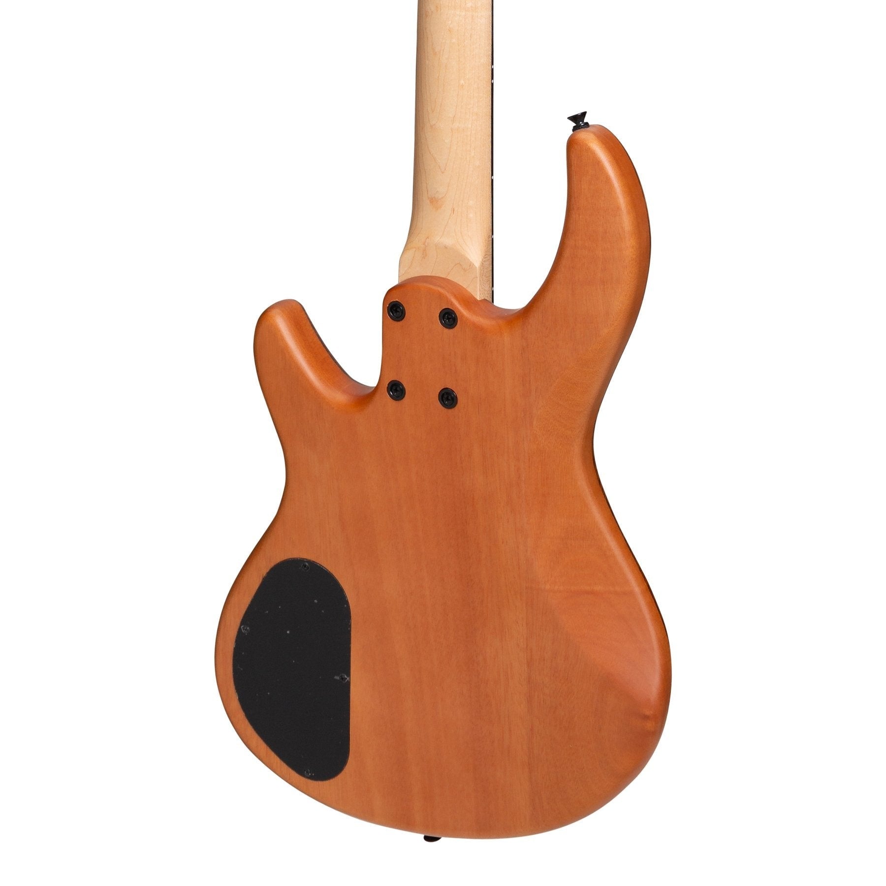 Đàn Guitar Bass Tokai Legacy Series Mahogany & Zebrano T Style Contemporary, Natural Satin