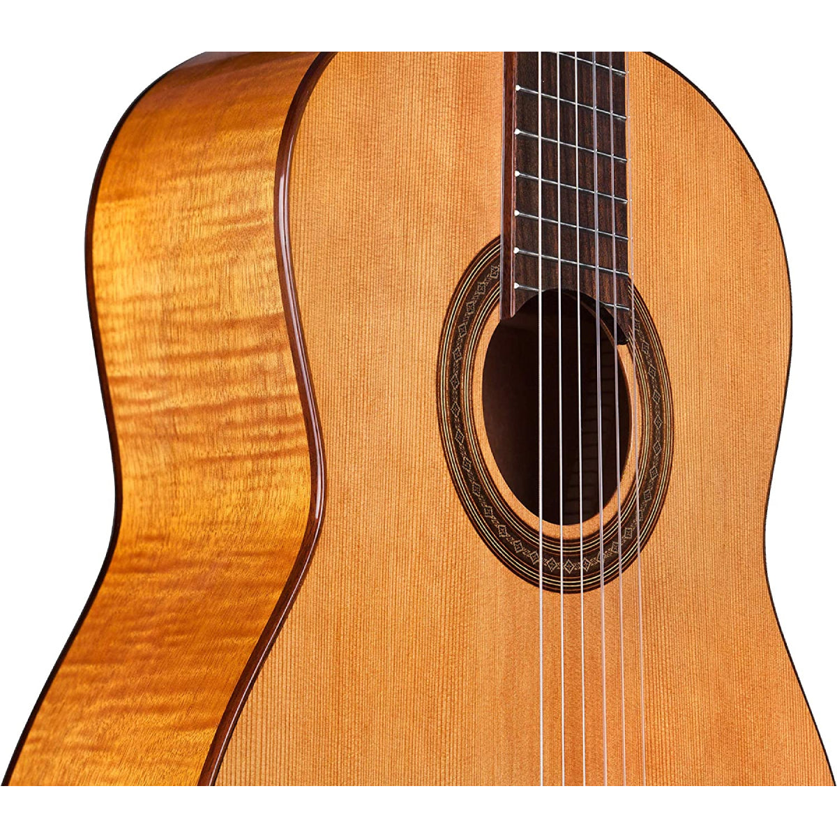 Đàn Guitar Classic Cordoba C5 Limited Cedar