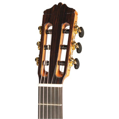 Đàn Guitar Classic Cordoba Solista Flamenco