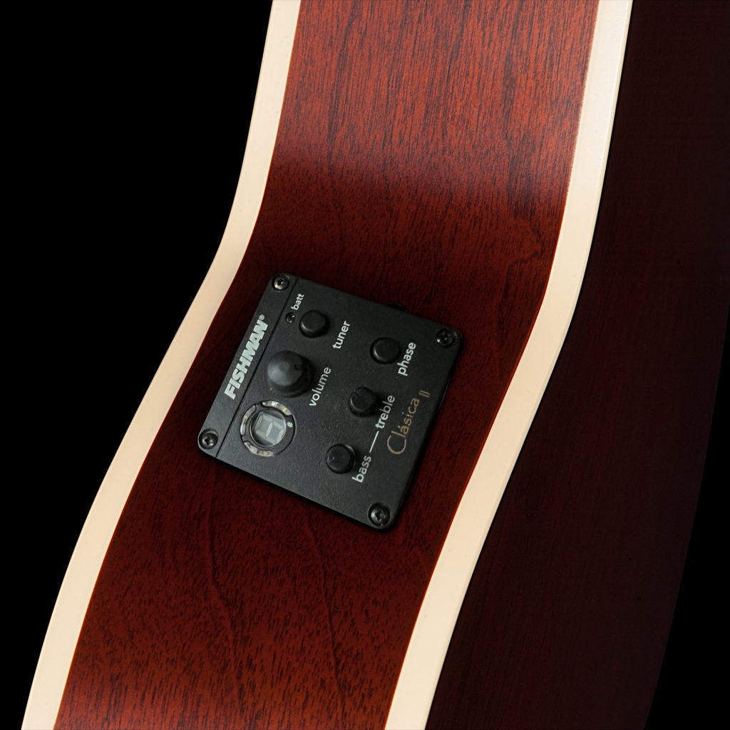 Đàn Guitar Classic Godin Arena CW QIT