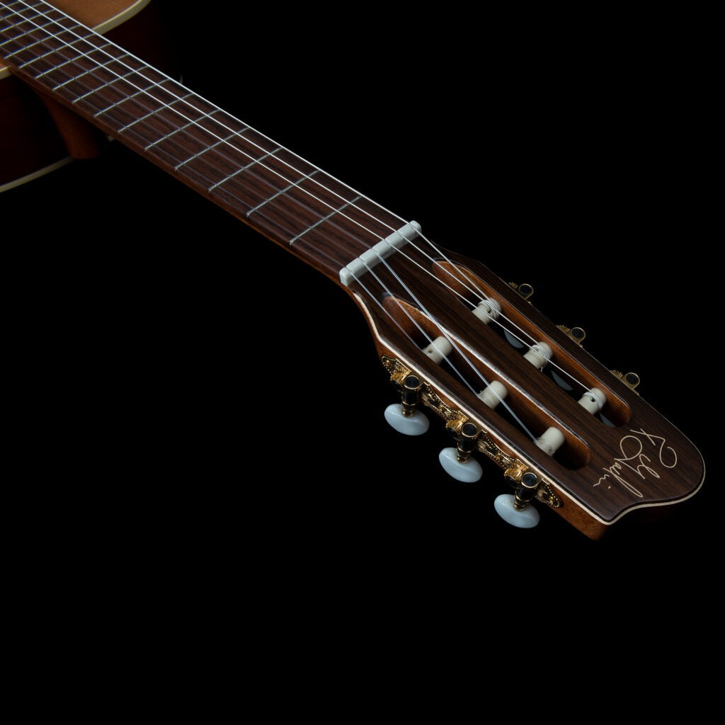 Đàn Guitar Classic Godin Motif