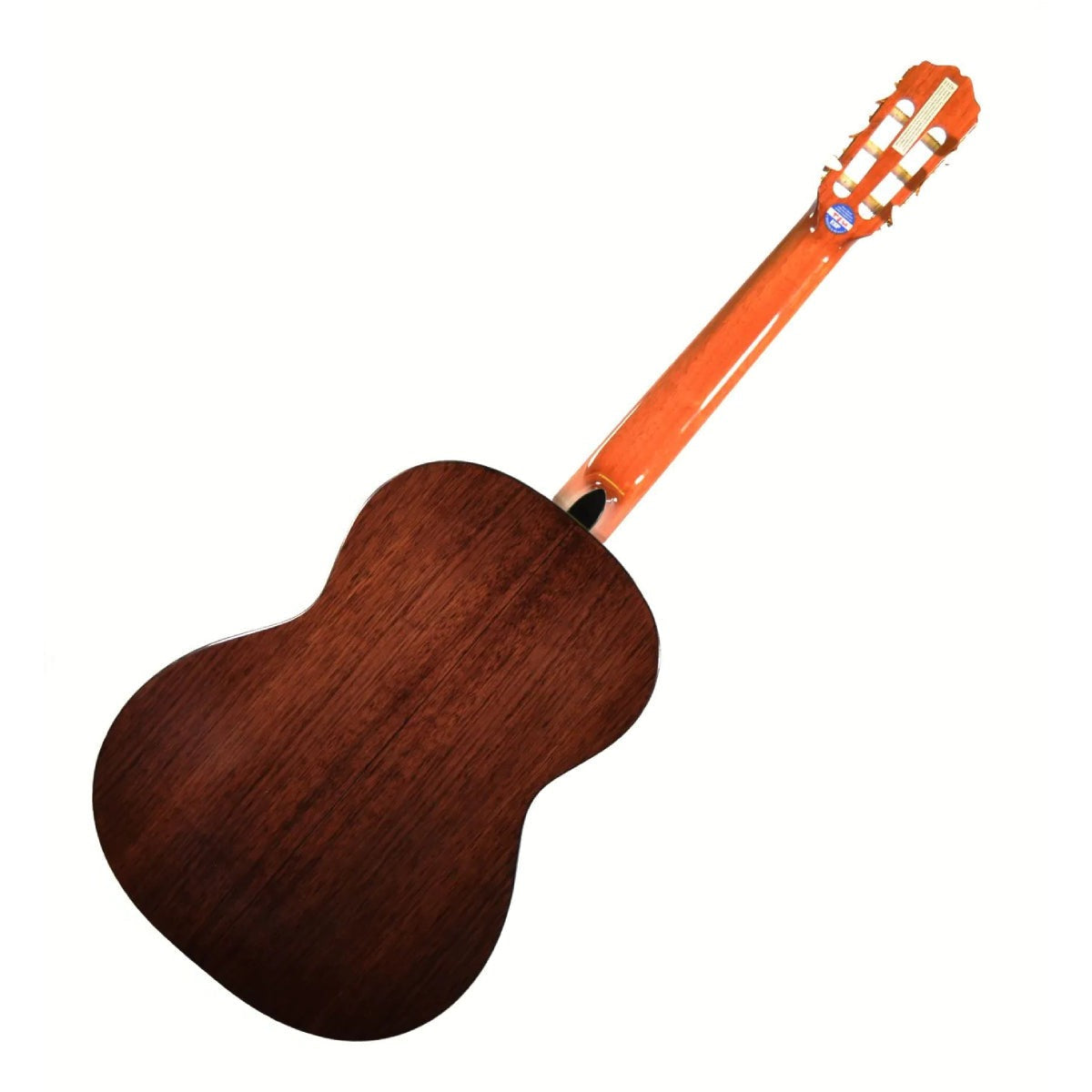 Đàn Guitar Classic Takamine GC5
