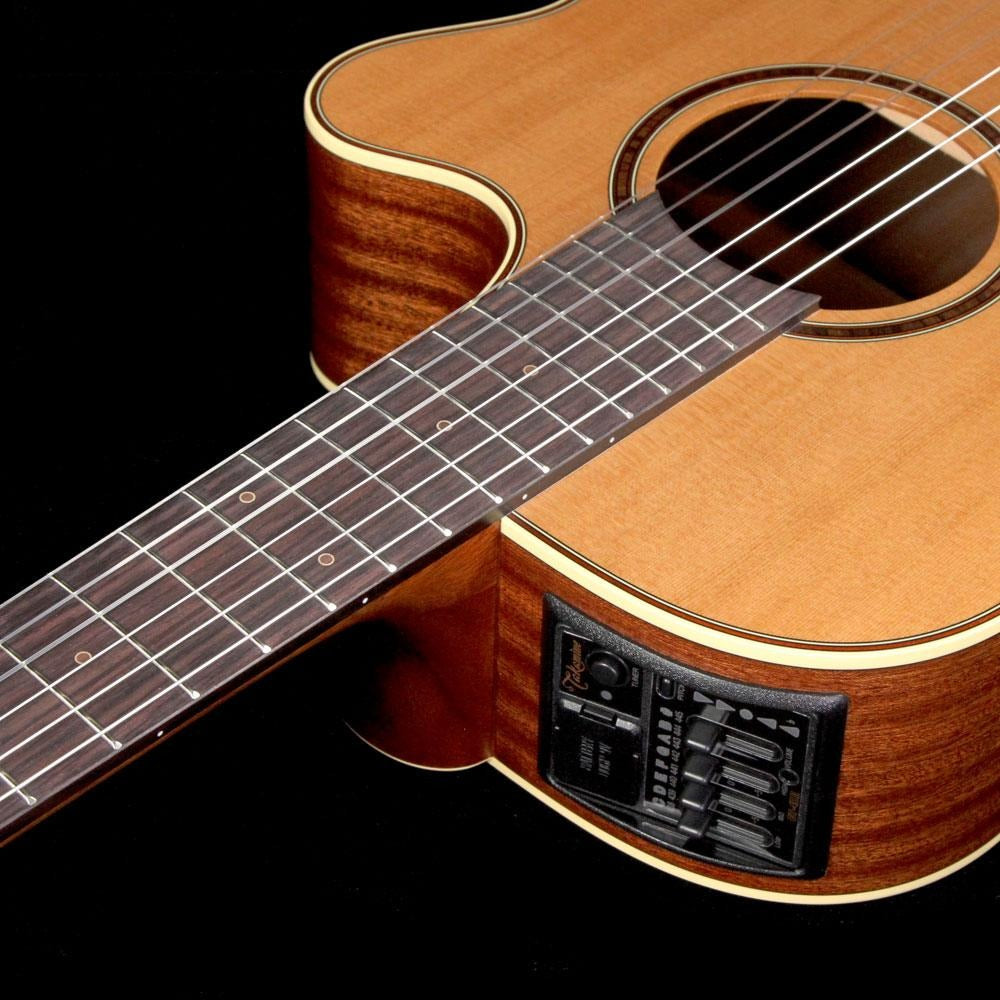 Đàn Guitar Classic Takamine P3FCN