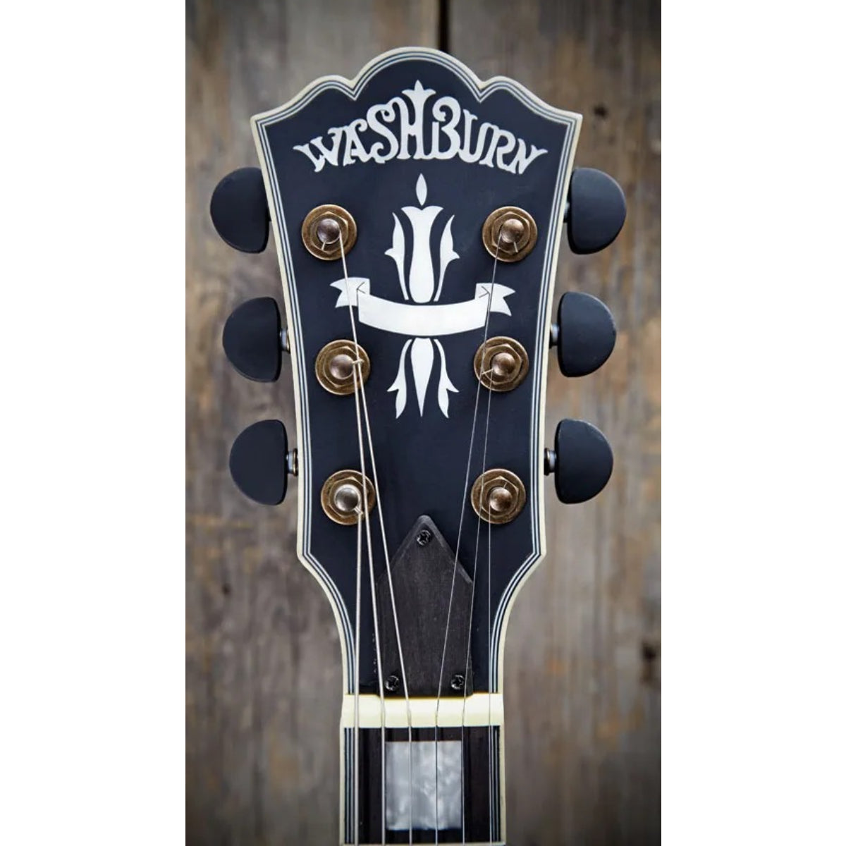 Đàn Guitar Điện Washburn HB36 