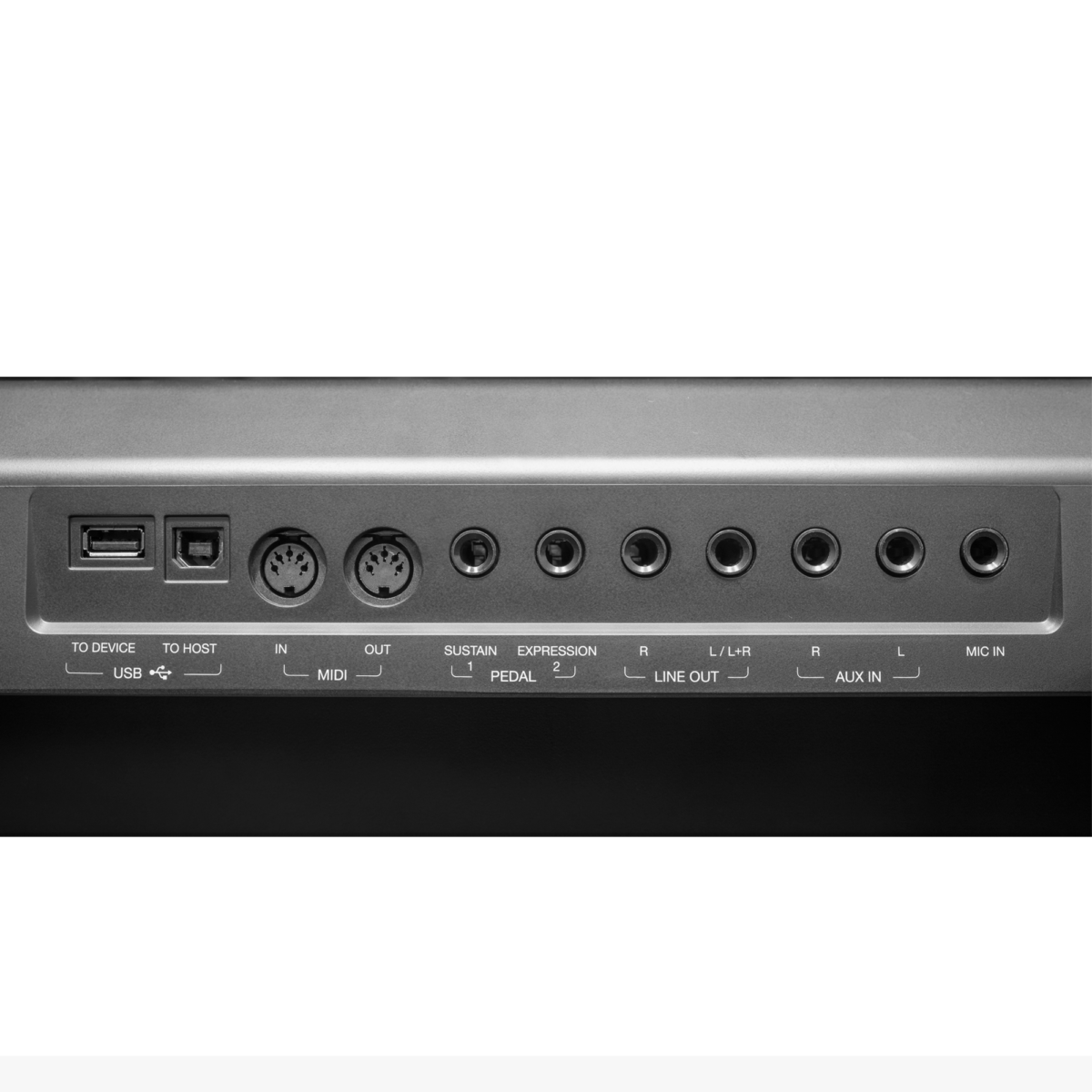 Đàn Organ Kurtzman SV800