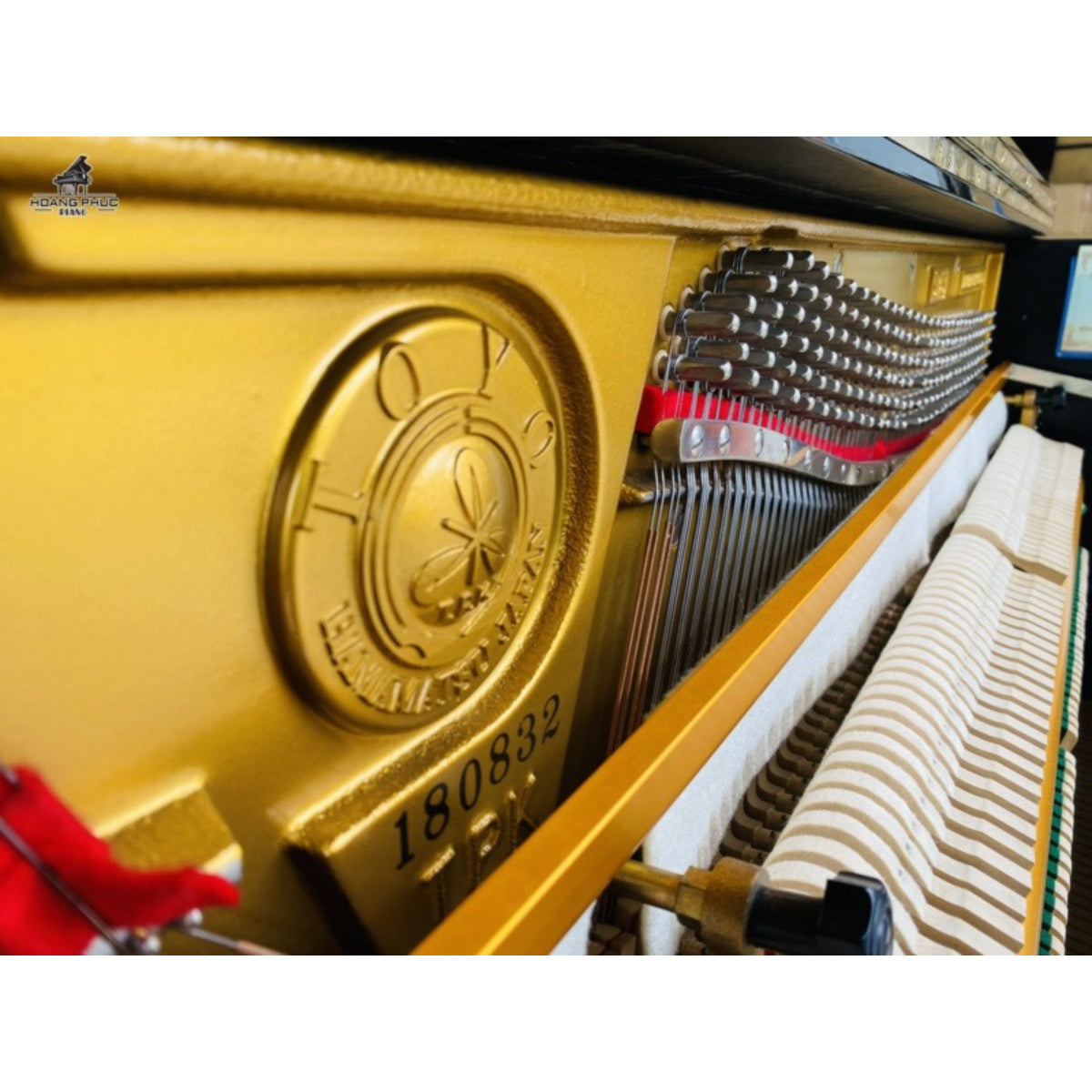 Đàn Piano Cơ Upright Apollo SR5