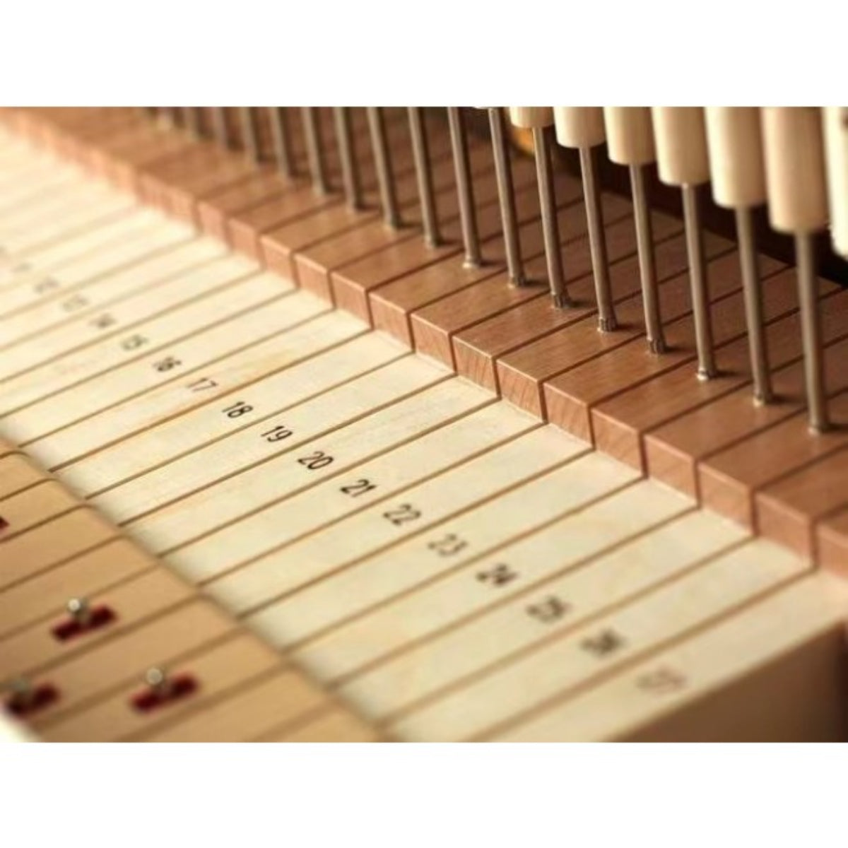 Đàn Piano Cơ Upright August Förster 125F