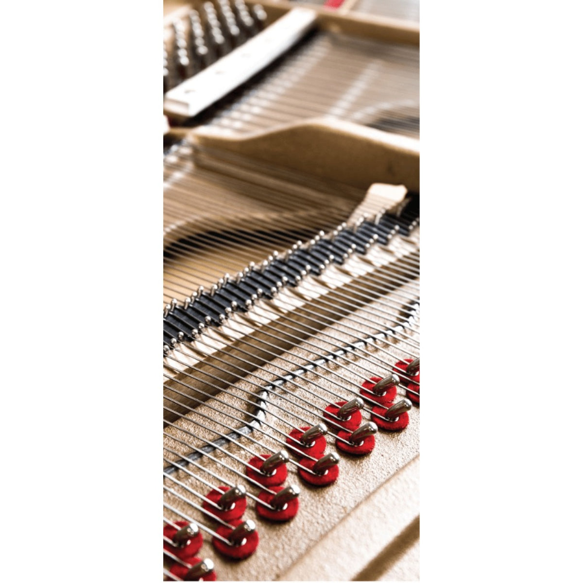 Đàn Piano Cơ Upright Yangtze River YUC-118