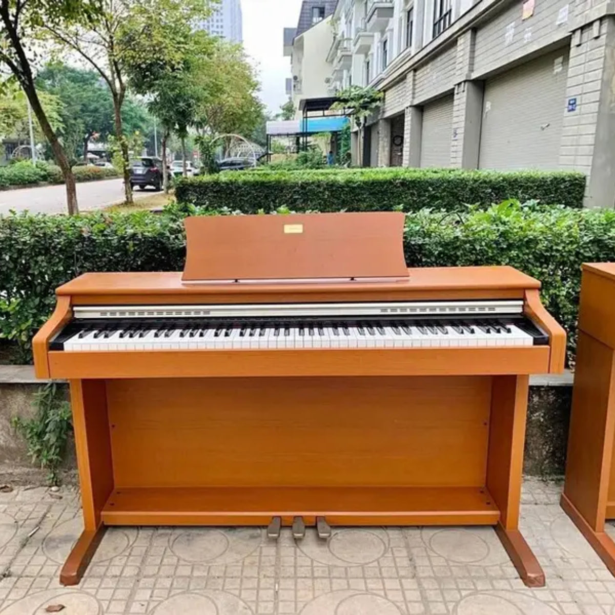 Đàn Piano Điện Casio AE500