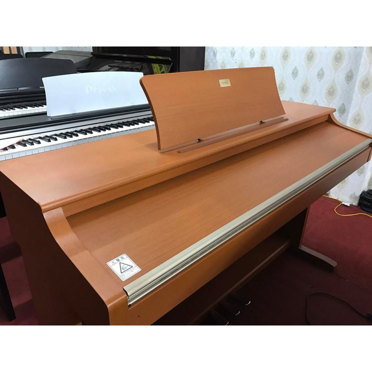 Đàn Piano Điện Casio AE500