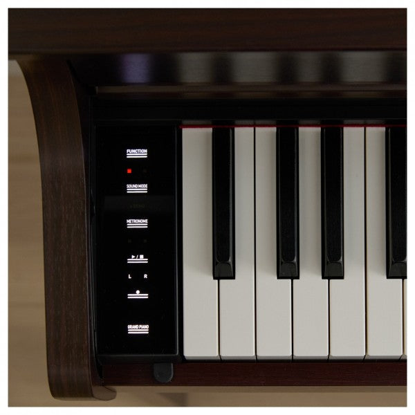 Đàn Piano Điện Casio AP300, Rosewood