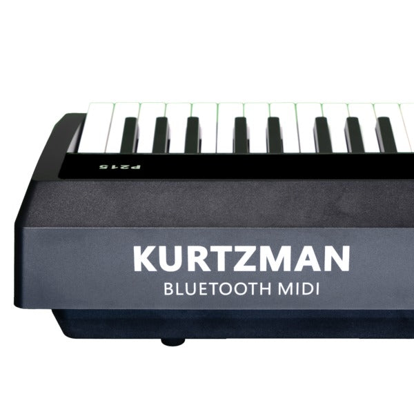 Đàn Piano Điện Kurtzman P215