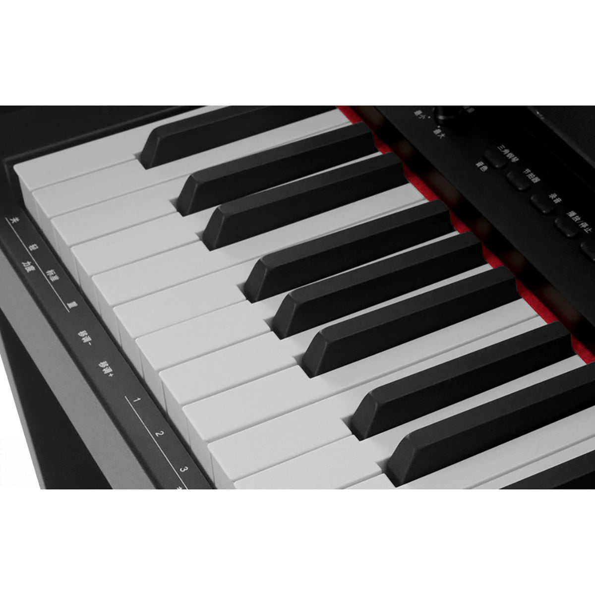 Đàn Piano Điện Nux WK-310, Black