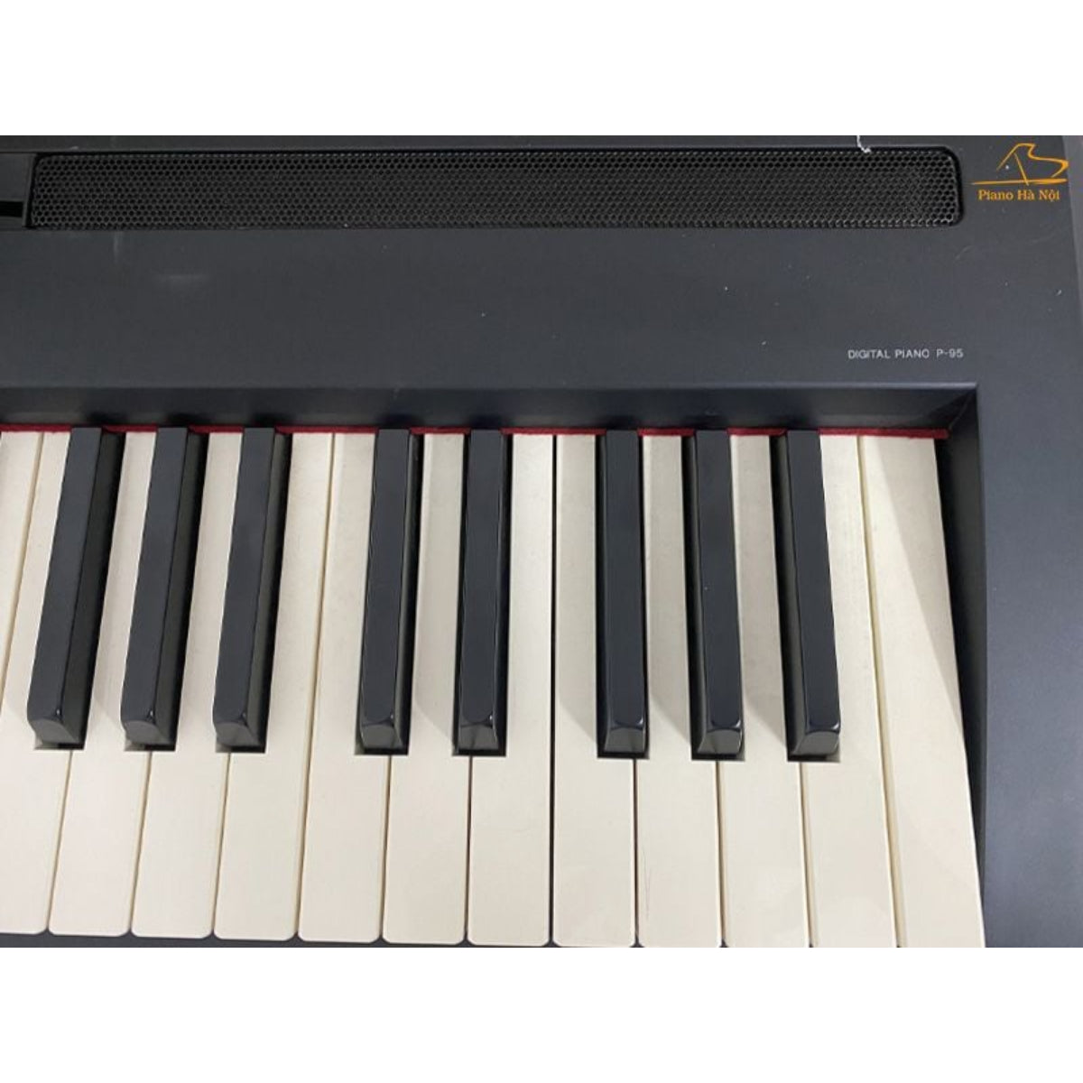 Đàn Piano Điện Yamaha P95