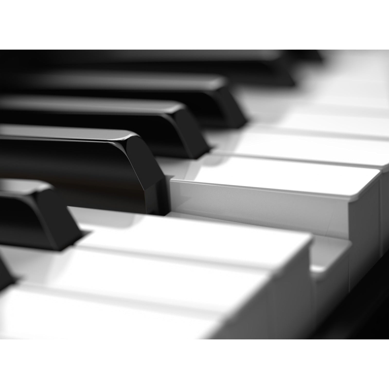 Đàn Synthesizer Roland JUNO DS88