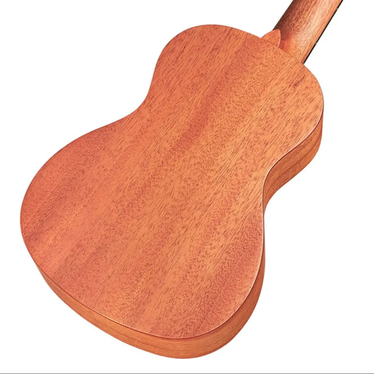 Đàn Ukulele Concert Cordoba 20CM