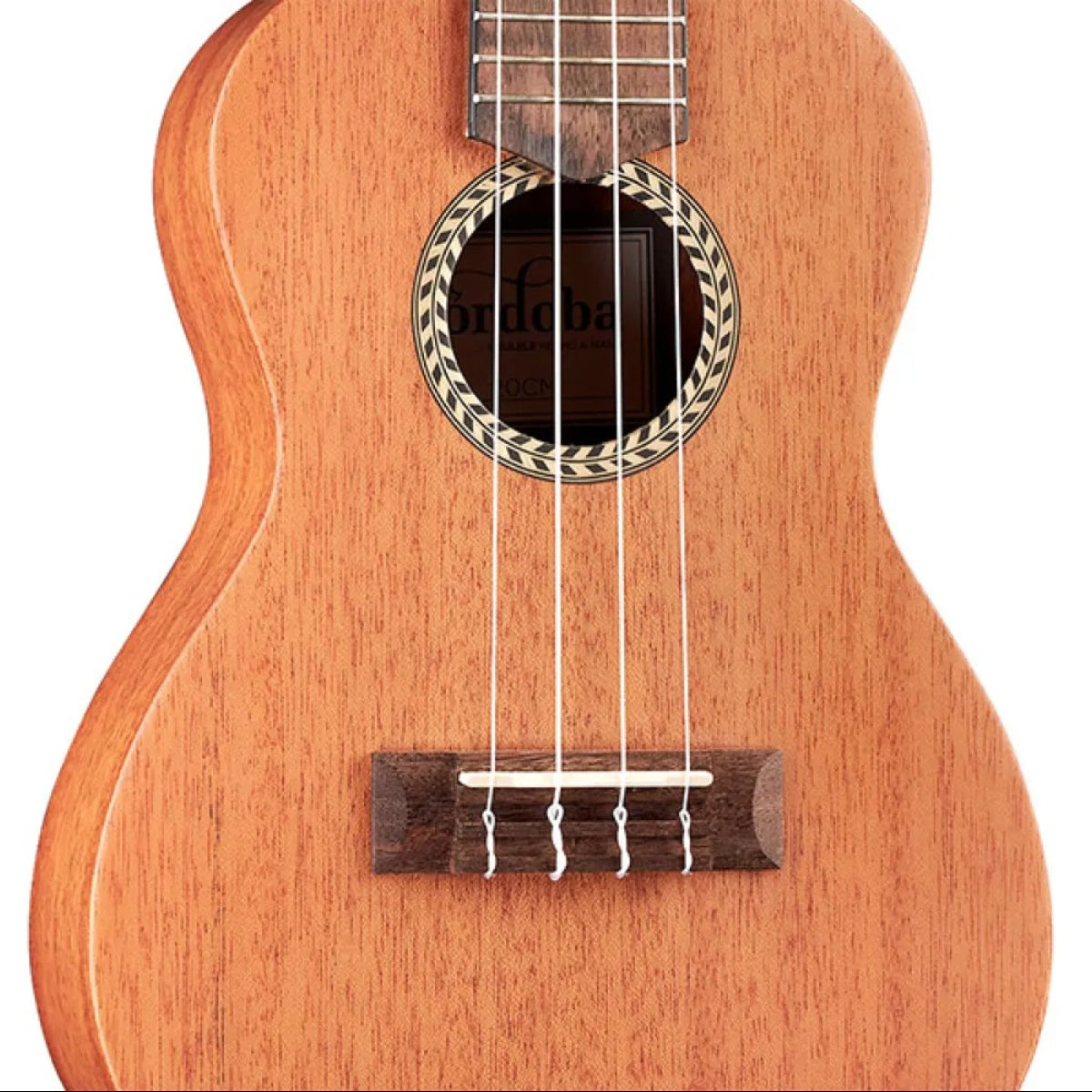 Đàn Ukulele Concert Cordoba 20CM
