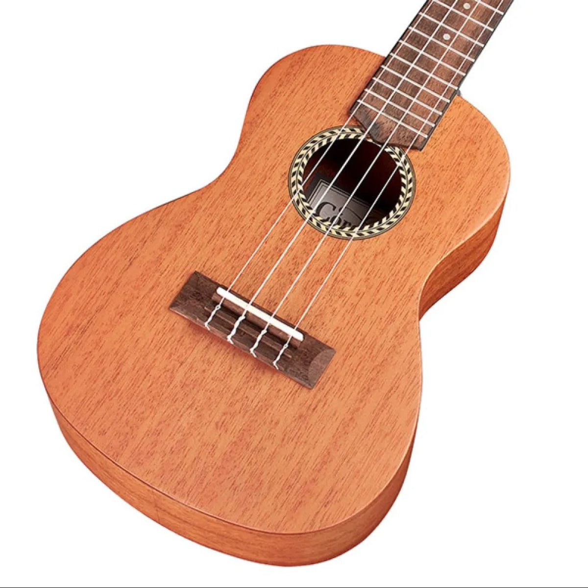 Đàn Ukulele Concert Cordoba 20CM