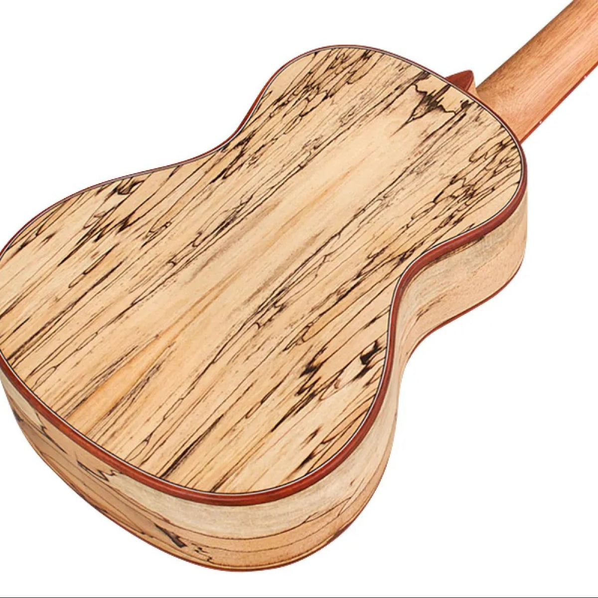 Đàn Ukulele Concert Cordoba 24C Spruce