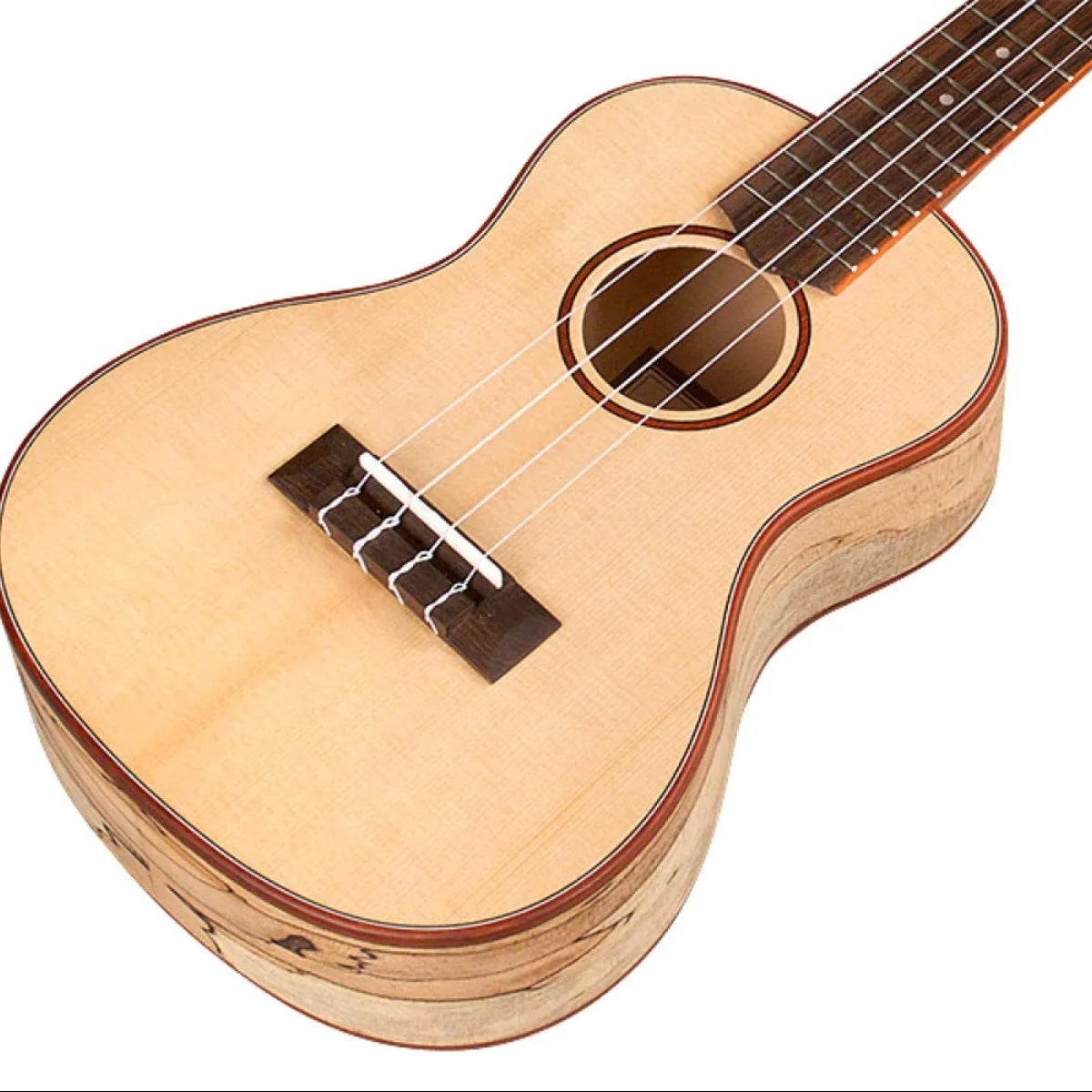 Đàn Ukulele Concert Cordoba 24C Spruce