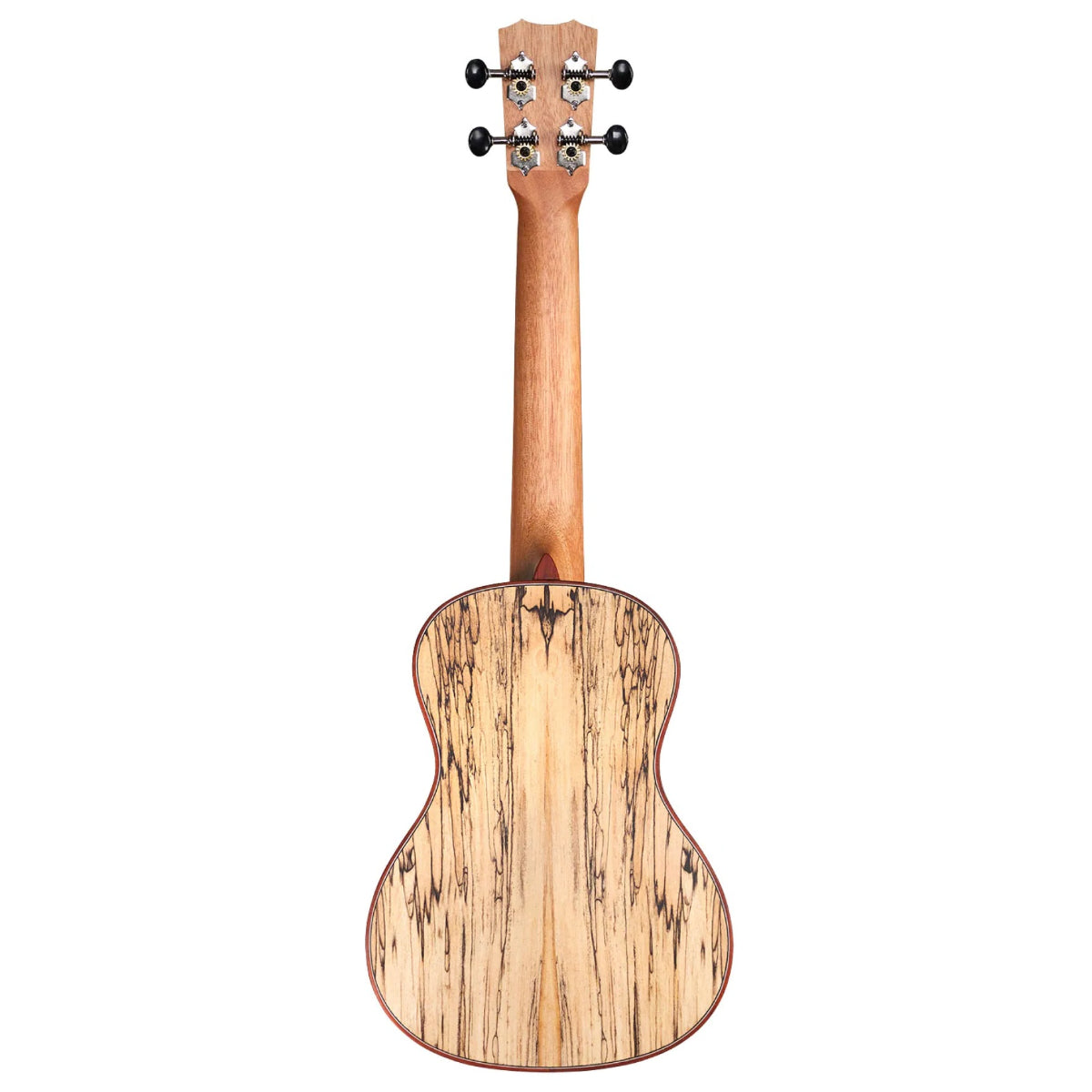 Đàn Ukulele Concert Cordoba 24C Spruce