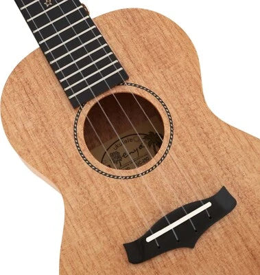 Đàn Ukulele Concert Enya 25D Solid Mahogany, Natural