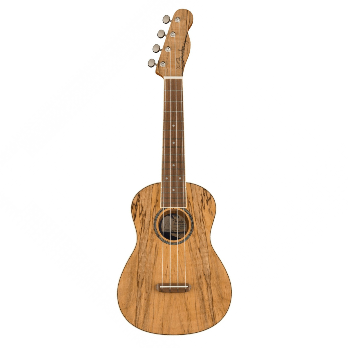 Đàn Ukulele Fender Zuma Exotic Concert, Natural Spalted Maple