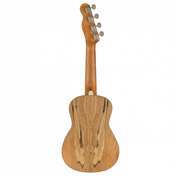 Đàn Ukulele Fender Zuma Exotic Concert, Natural Spalted Maple